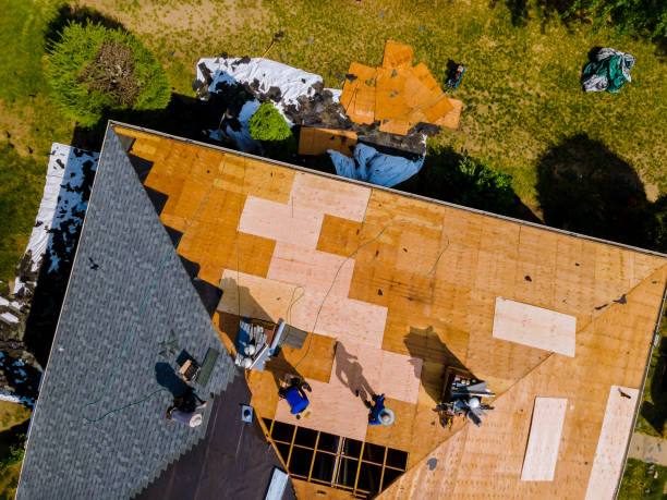 Best Roof Repair Services  in Portland, MI