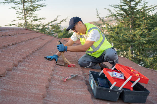 Best Emergency Roof Repair  in Portland, MI