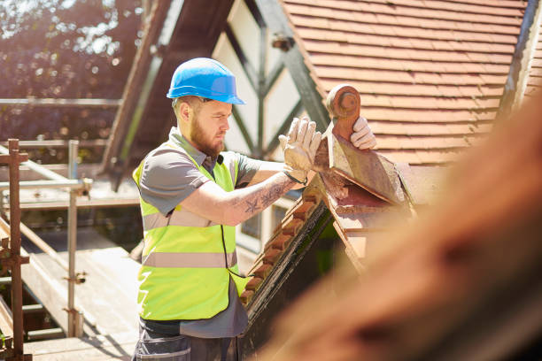 Best Roof Maintenance Services  in Portland, MI