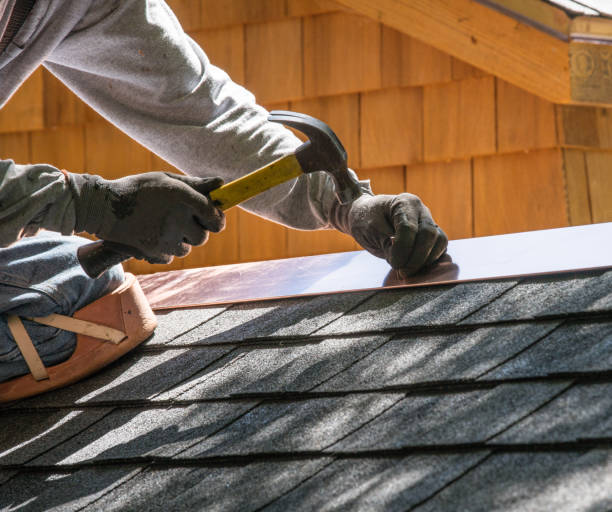 Best Sealant for Roof  in Portland, MI